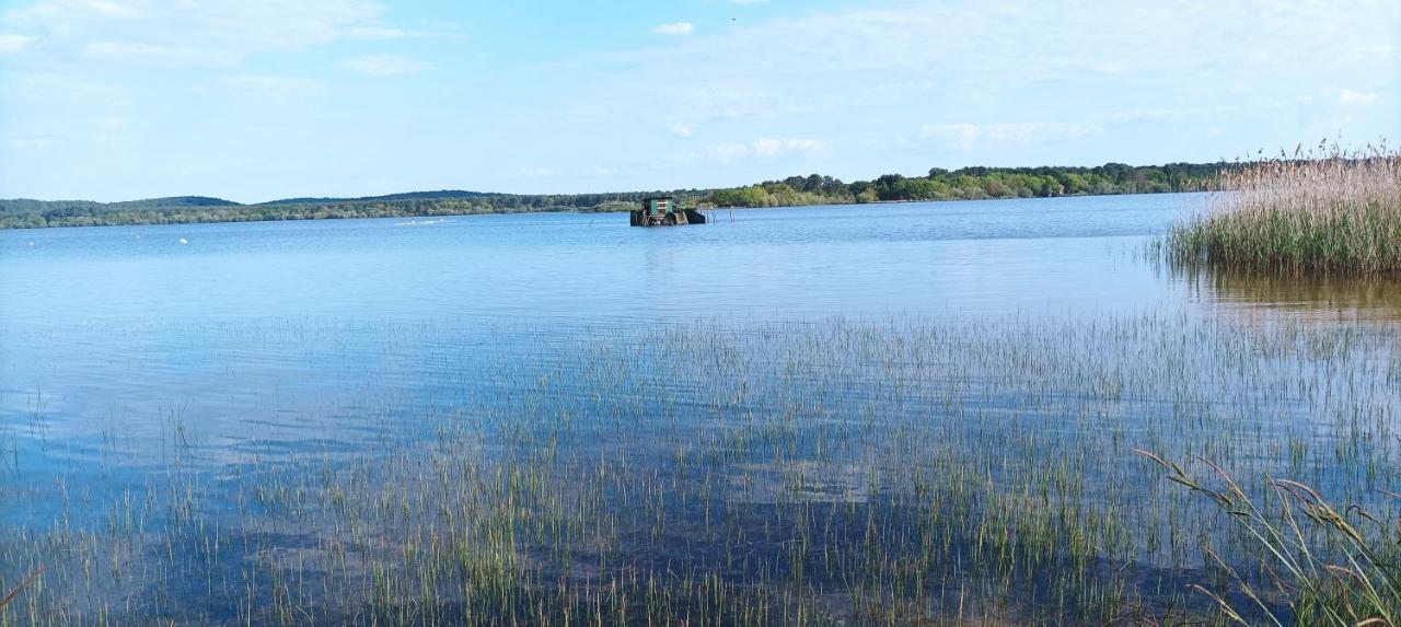 Les Terrasses Du Lac Piscine Et Vue Lac A4 Aureilhan  المظهر الخارجي الصورة