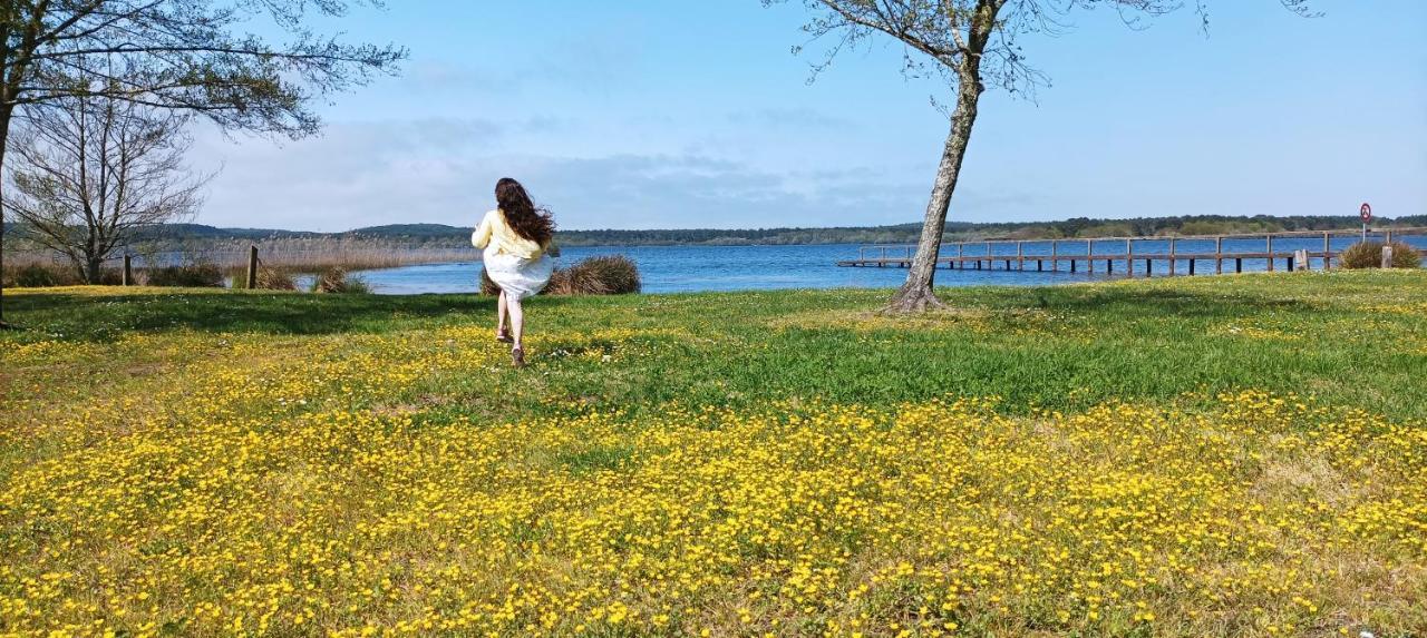 Les Terrasses Du Lac Piscine Et Vue Lac A4 Aureilhan  المظهر الخارجي الصورة